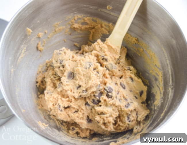 Ultimate Chewy Whole Grain Chocolate Chip Cookies 2 Bowl of freshly mixed whole grain chocolate chip cookie dough, showing the distribution of chocolate chips, ready for baking.