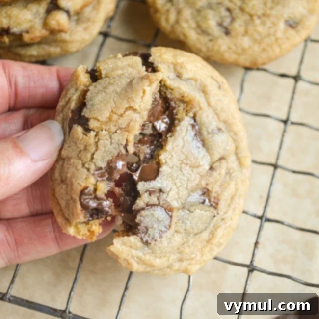 Ultimate Chewy Whole Grain Chocolate Chip Cookies 4 A single warm, freshly baked chewy whole grain chocolate chip cookie with melted chocolate chips, broken in half to show its soft, tender, gooey interior.