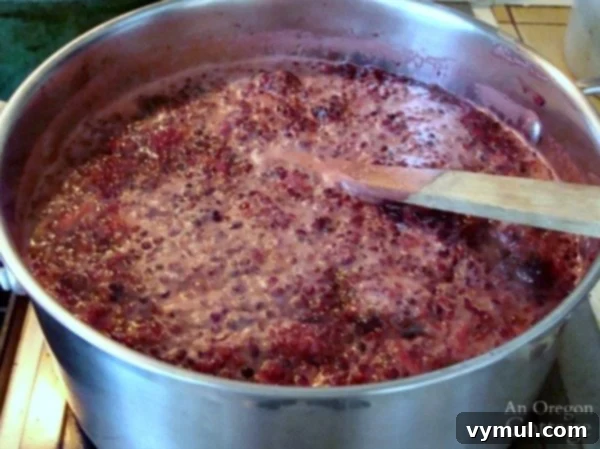 Cooking Lower Sugar Canned Berry Syrup