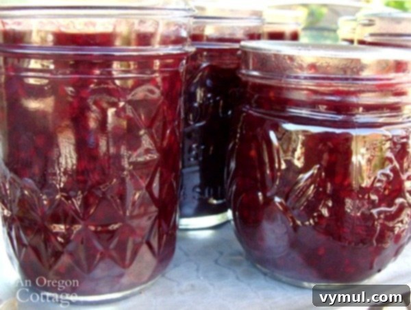 Lower Sugar Canned Berry Syrup close