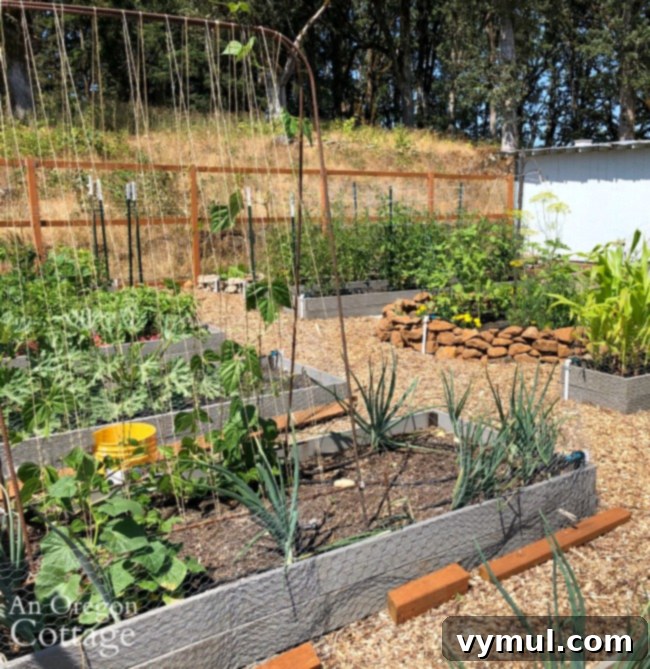 Beyond Space: 5 Compelling Reasons to Trellis Your Cucumbers 3 Mid July Vegetable Garden2019-rebar cucumber trellis