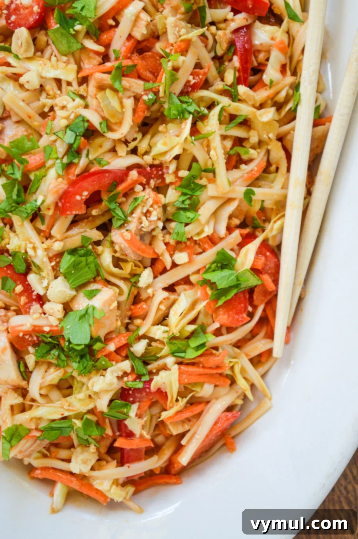 A beautiful platter of spicy peanut noodles with chicken and vegetables, artfully arranged and ready to be served with chopsticks.