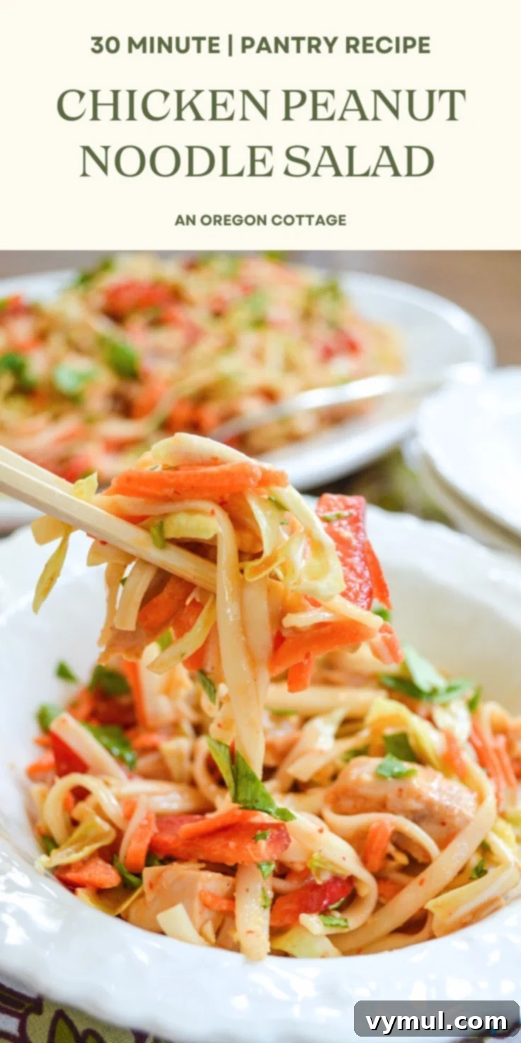 A Pinterest-optimized image featuring a generous serving of spicy peanut noodles with chicken and vegetables in a bowl, perfect for pinning and sharing.