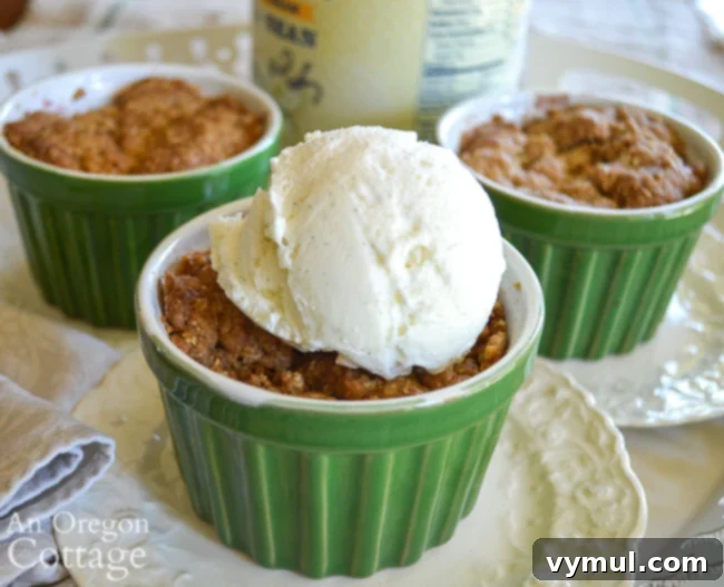 Mastering August: Seasonal Recipes, Expert Tips and Your Printable Planner 12 Individual Berry Crisp with Big Crumb Topping served with a scoop of vanilla ice cream.