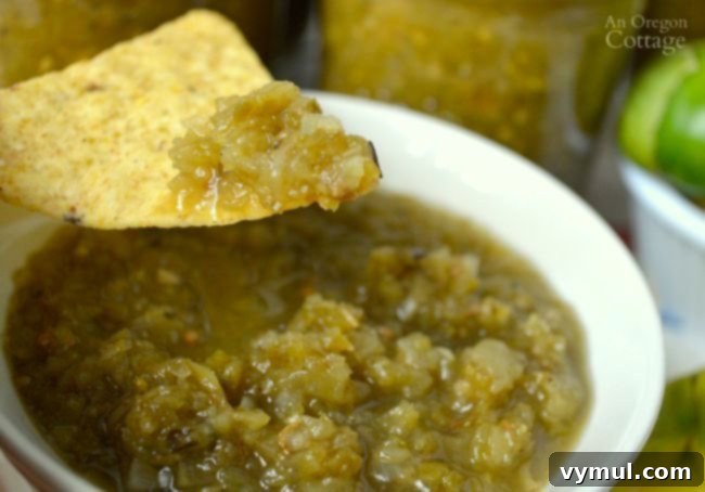 Mastering August: Seasonal Recipes, Expert Tips and Your Printable Planner 10 Homemade Roasted Tomatillo or Green Tomato Salsa, a vibrant and tangy condiment.