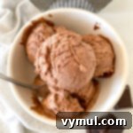Ultimate No-Churn Chocolate Ice Cream 12 Close-up of decadent chocolate no-churn ice cream in a white bowl, ready to be served.