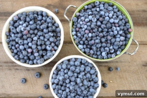Preserving fresh blueberries for future enjoyment.