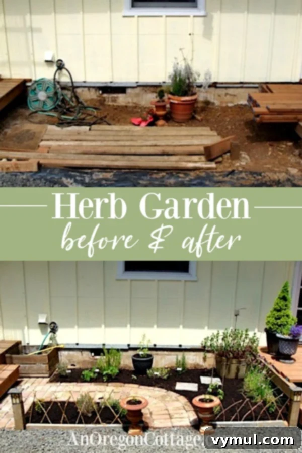 My Herb Garden: A Seasonal Story of Growth and Transformation 2 Kitchen herb garden before and after transformation