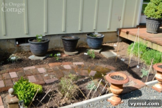 My Herb Garden: A Seasonal Story of Growth and Transformation 10 Herb garden replanted in spring 2014 after harsh winter