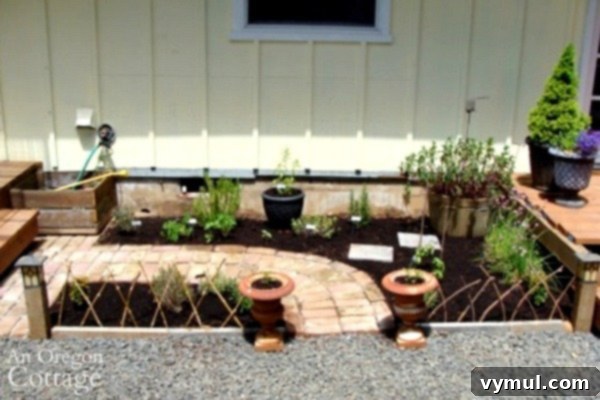 My Herb Garden: A Seasonal Story of Growth and Transformation 5 Thriving herb garden with brick path after planting