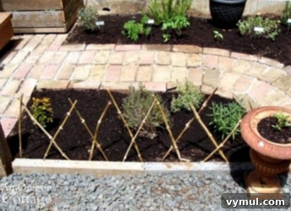 My Herb Garden: A Seasonal Story of Growth and Transformation 7 Herb garden with bamboo fence for dog