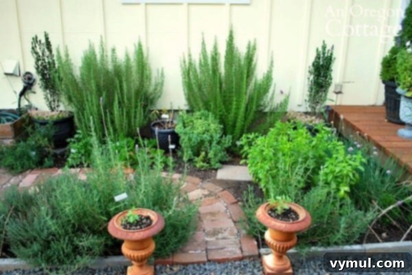 My Herb Garden: A Seasonal Story of Growth and Transformation 9 Herb garden in summer 2013, two years after planting