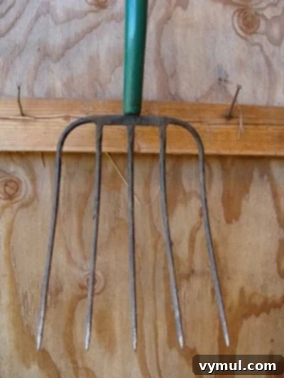 A well-used, clean garden pitchfork standing upright in a garden setting, ready for its next task.