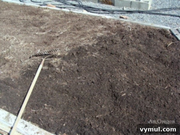 Close-up shot of a no-till vegetable bed, with a layer of dark, rich compost being spread over the soil, indicating preparation for planting.