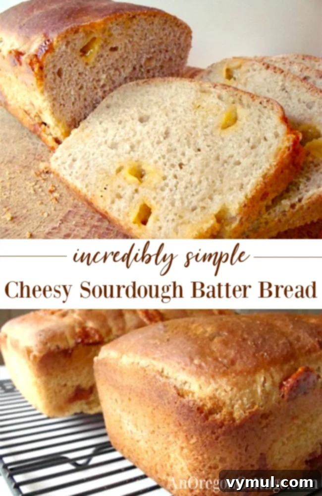 No-Knead Cheesy Sourdough Bread 2 Incredibly simple cheesy sourdough batter bread