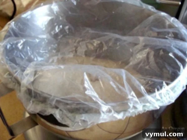 No-Knead Cheesy Sourdough Bread 4 Cheesy Sourdough Batter Bread resting