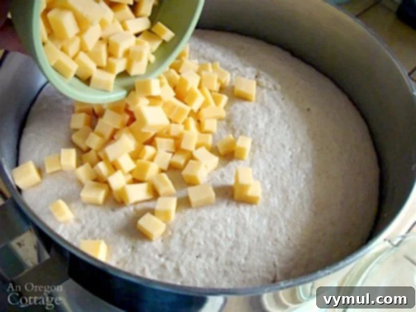 No-Knead Cheesy Sourdough Bread 5 Adding cheese to Cheesy Sourdough Batter Bread