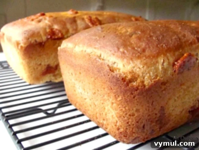 No-Knead Cheesy Sourdough Bread 8 Freshly Baked Cheesy Sourdough Batter Bread