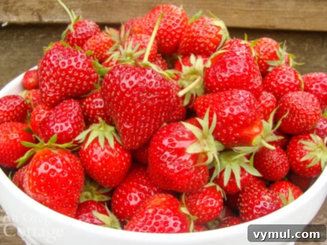 bowl of fresh strawberries