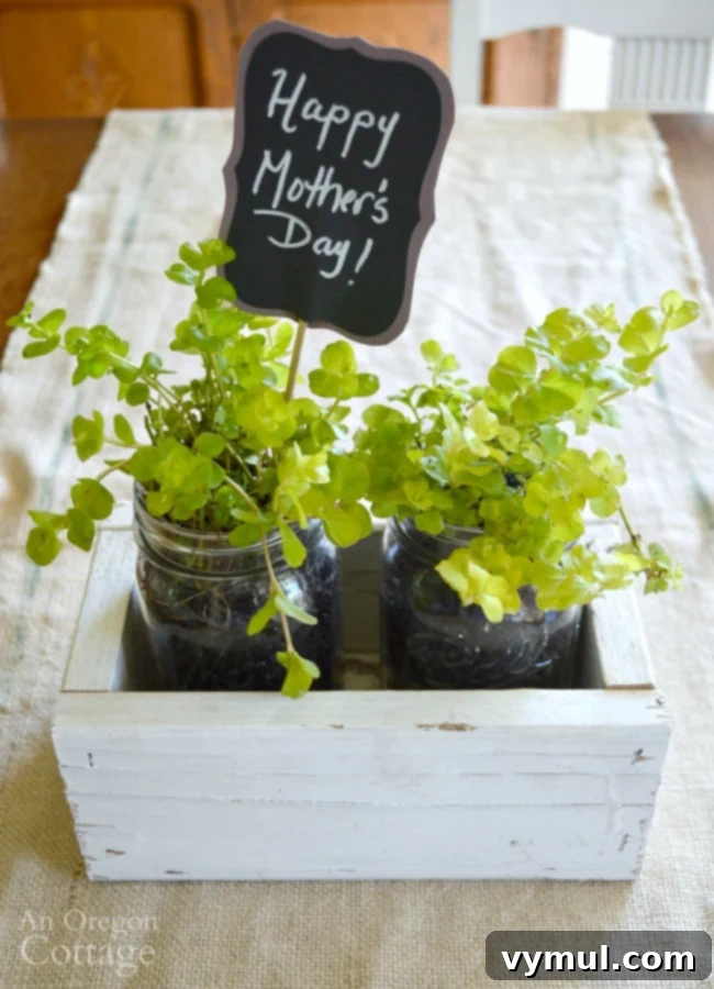 Rustic Reclaimed Wood Planter Featuring Mason Jar Herbs 3 A close-up of the finished DIY reclaimed wood box, highlighting its rustic appeal and suitability as a Mother's Day or birthday gift.