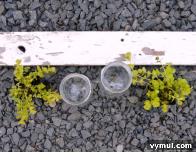 Rustic Reclaimed Wood Planter Featuring Mason Jar Herbs 4 Collection of materials for making a reclaimed wood box and mason jar gift, including wood, jars, and plants.