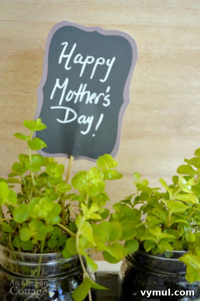 Rustic Reclaimed Wood Planter Featuring Mason Jar Herbs 8 A beautiful DIY reclaimed wood box with mason jar planters, featuring a personalized gift tag for Mother's Day.