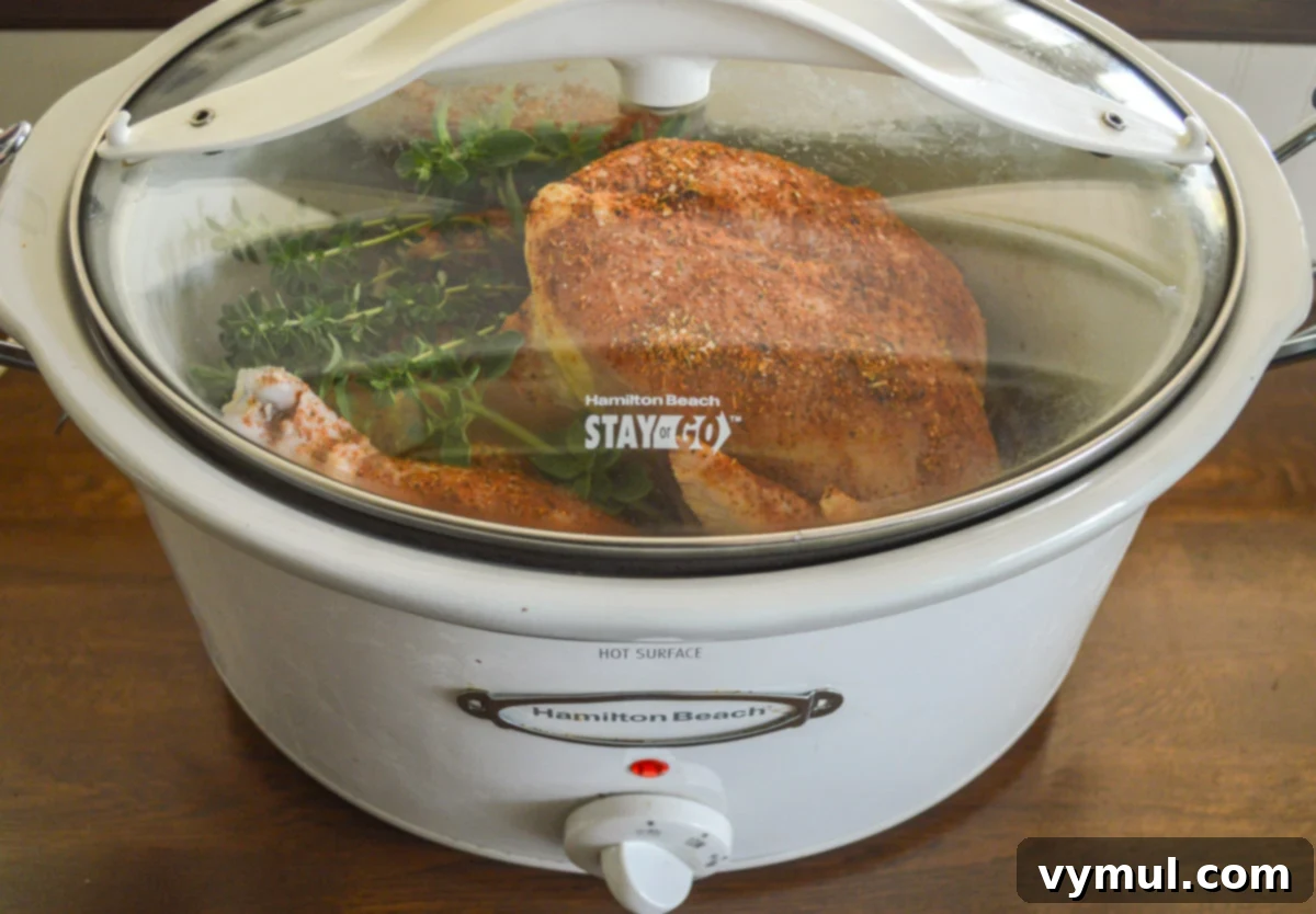 chicken ready to cook in covered slow cooker