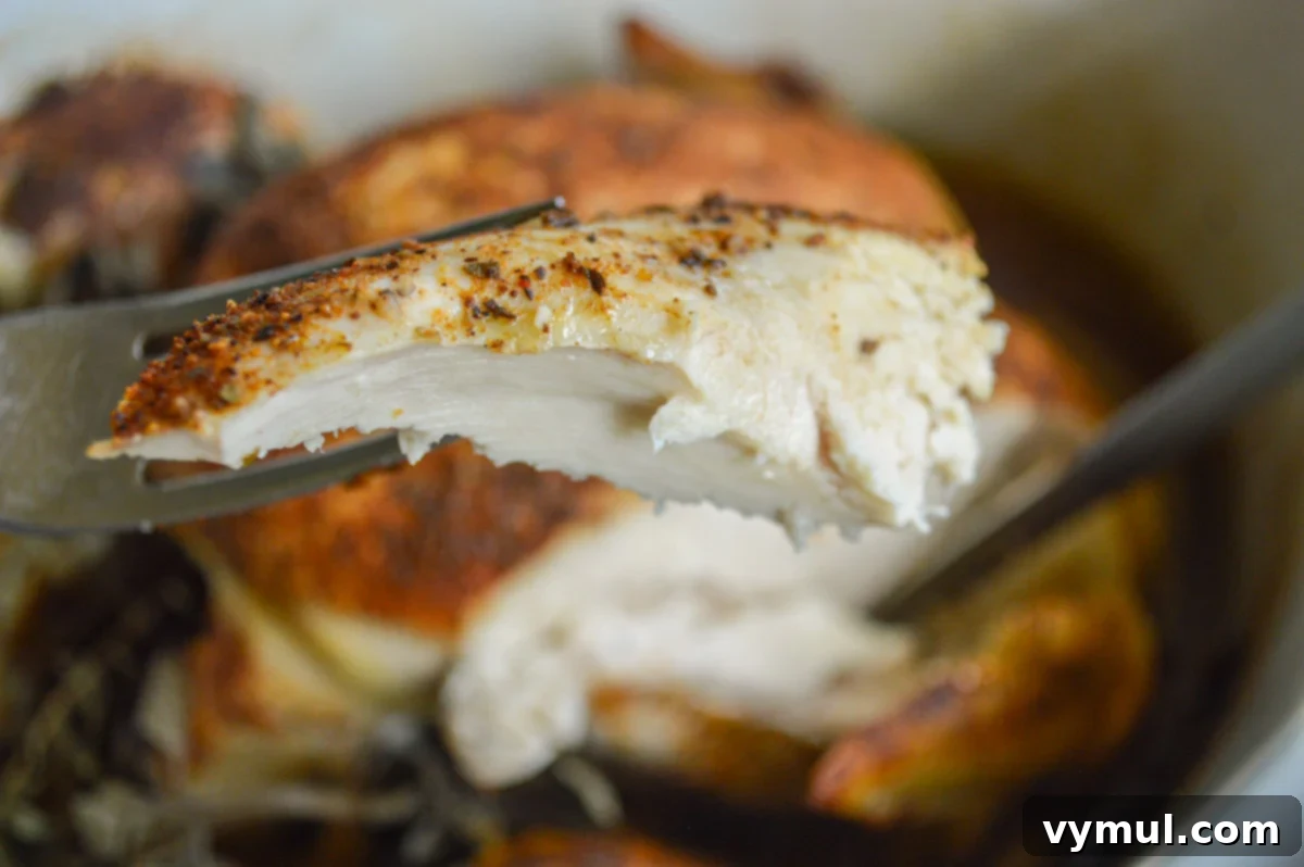 moist piece of chicken up close