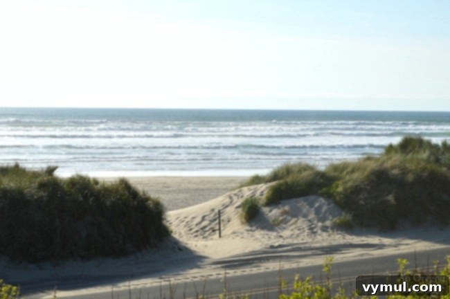 Manzanita Magic: A Reed House Retreat 3 Reed House-Manzanita Oregon beach access