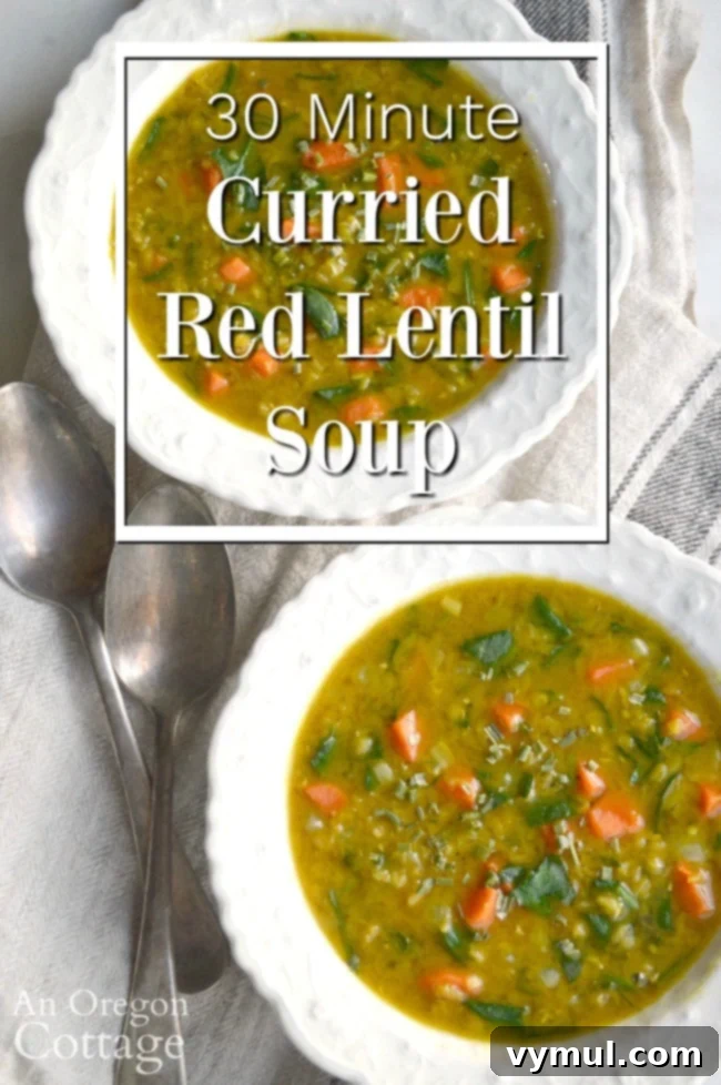 Curried Red Lentil Soup