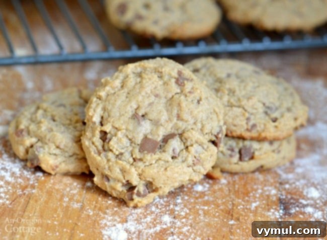 Soft And Chewy Whole Grain Peanut Butter Cookies with chocolate chunks