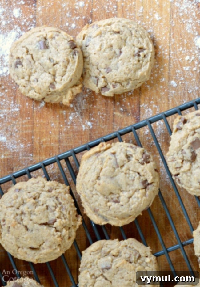 Soft And Chewy Whole Grain Peanut Butter Cookies made with honey and whole wheat.