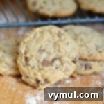 Soft And Chewy Whole Grain Peanut Butter Cookies with chocolate chunks