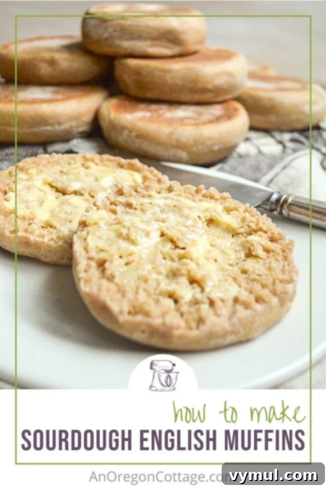 how to make sourdough english muffins-pin