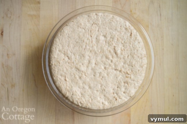 sourdough English muffin dough AM