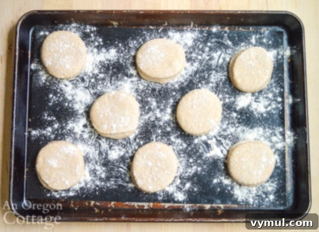 cut sourdough English muffins rising on pan