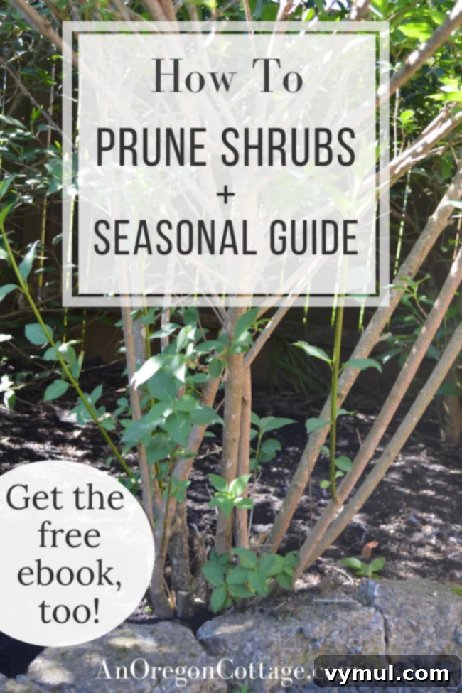 How to prune shrubs confidently for healthier plants and abundant blooms. Includes a seasonal guide for hydrangeas, roses, and boxwoods.