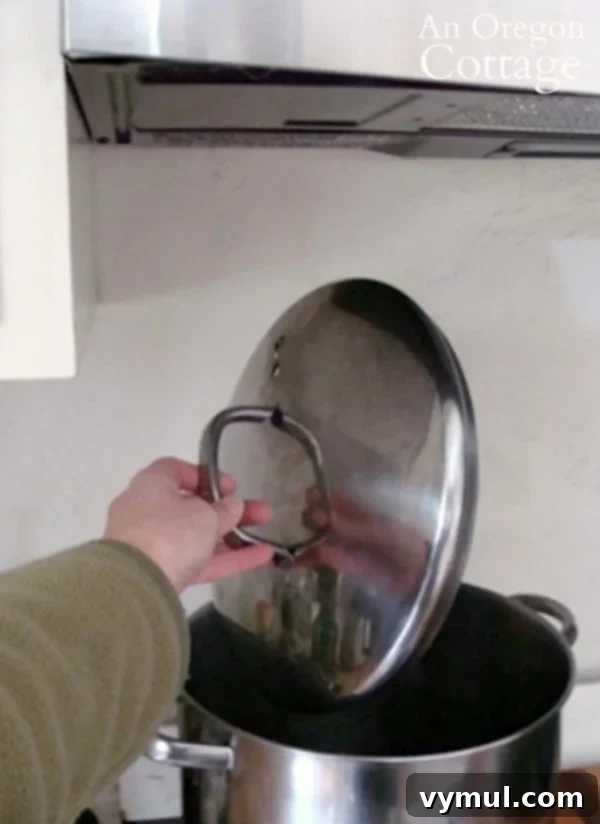 large stockpot under new microwave