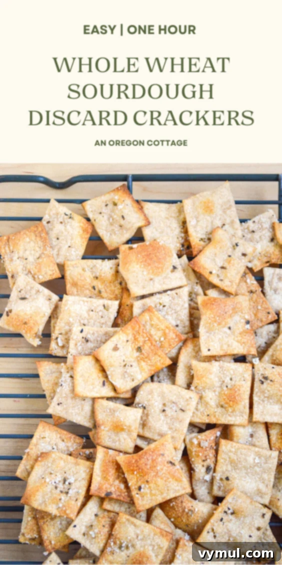 sourdough cracker pin image