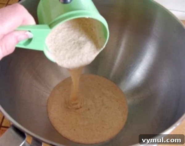 Sourdough Whole Wheat Crackers step 1