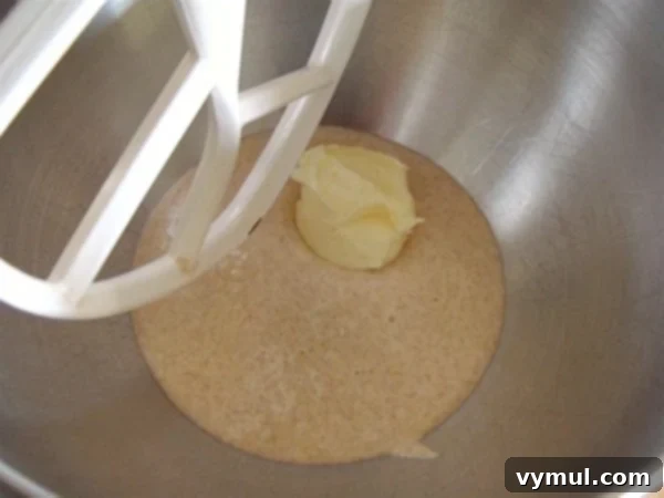 Sourdough Whole Wheat Crackers step 2