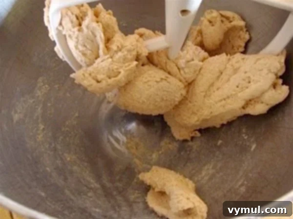 Sourdough Whole Wheat Crackers step 4