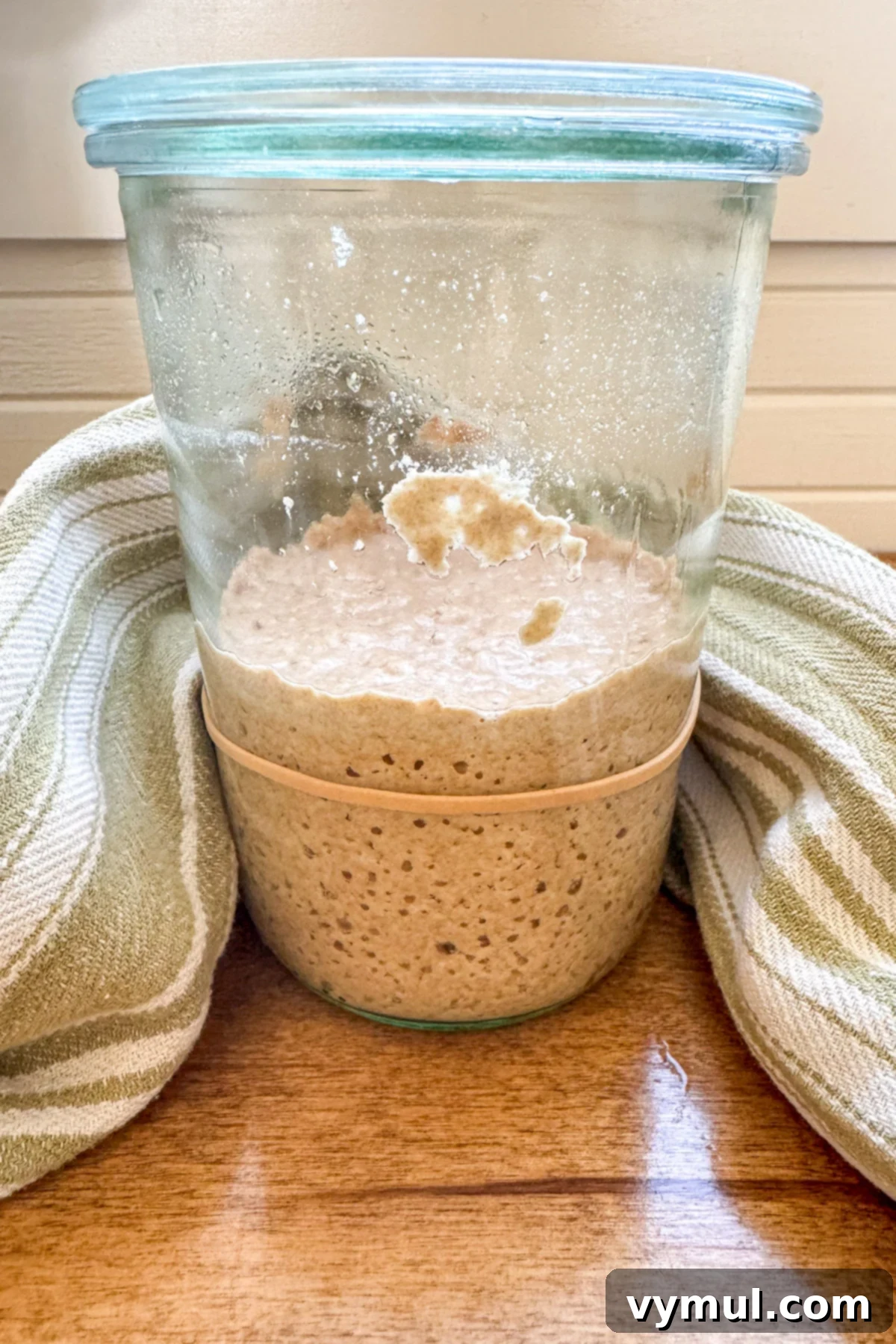 active sourdough starter in jar