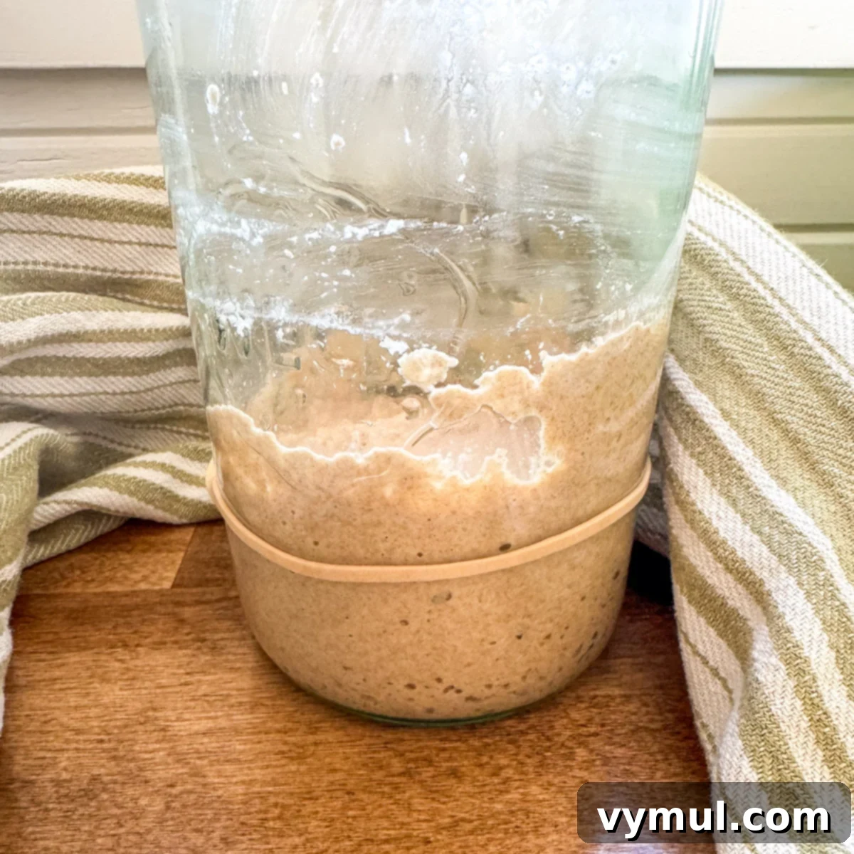 fallen sourdough starter in jar