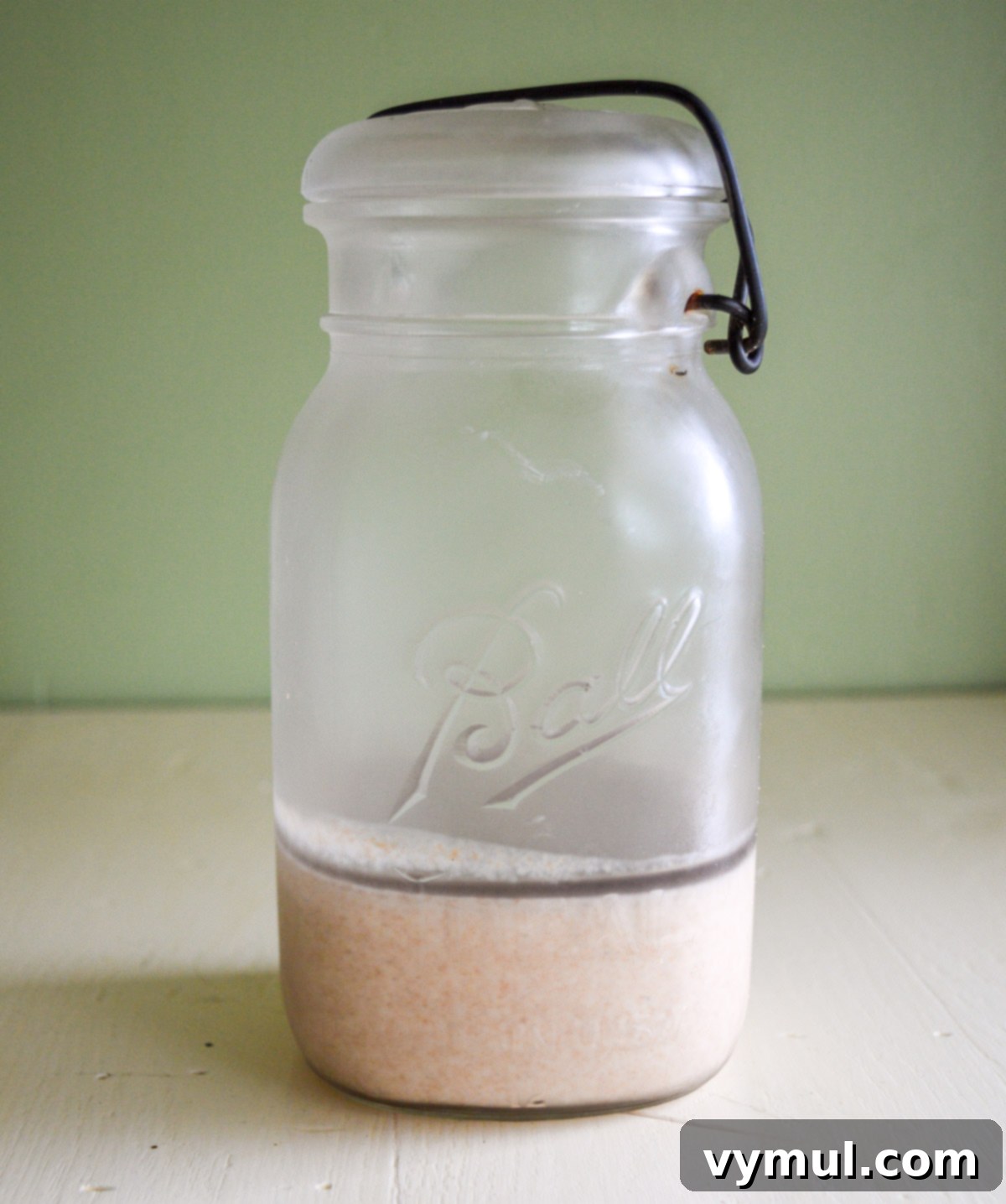 refrigerated sourdough starter with dark hooch on top