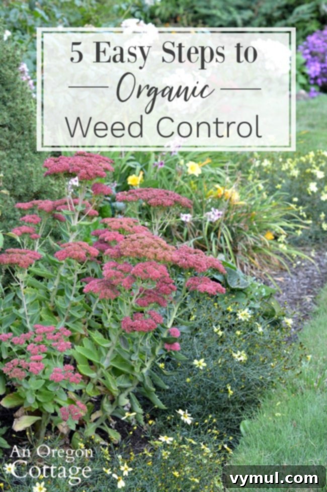 5 easy steps-organic weed control