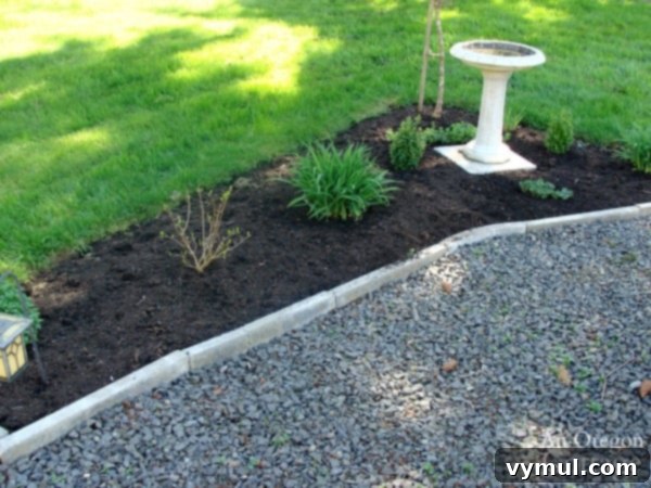 freshly mulched weed free bird-bath bed