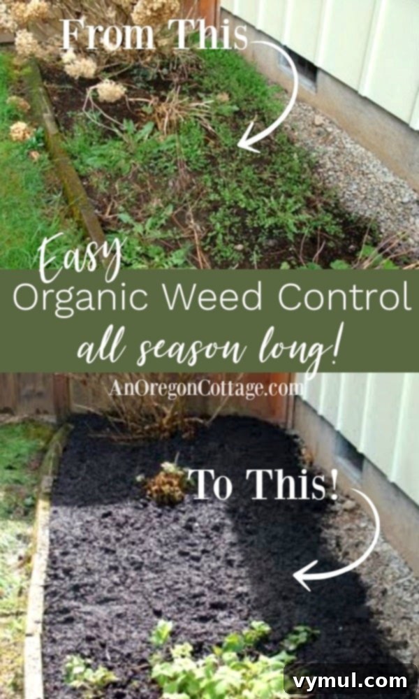 Easy organic weed control all season long