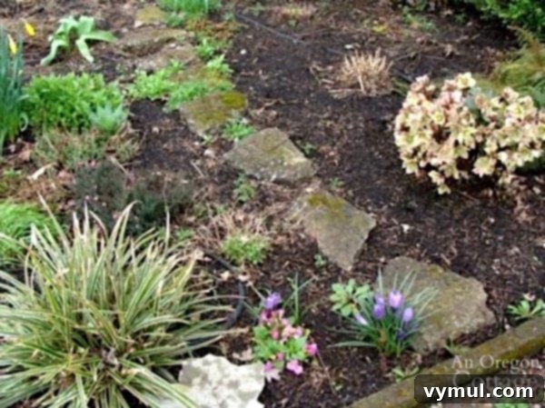 Previously mulch flower bed