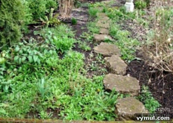 Unmulched weedy flower bed example